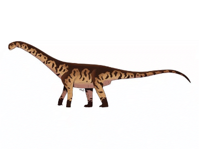 Bicharracosaurus / © Felipe Cutro-Lev